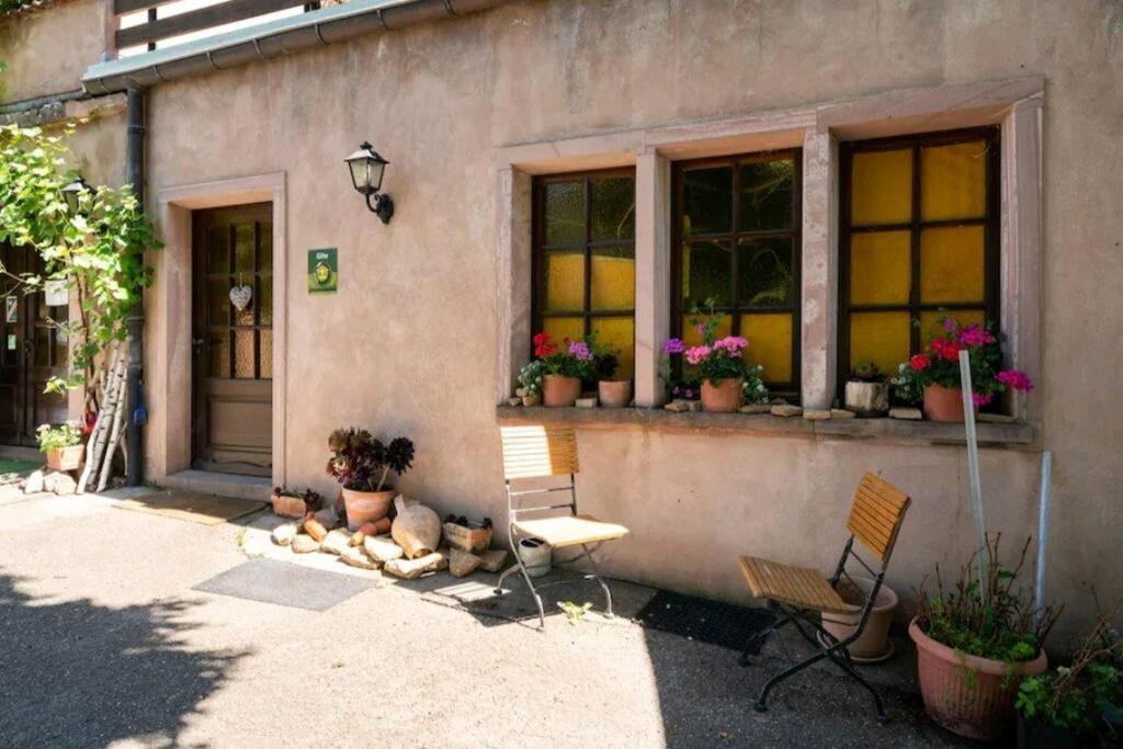 gîte l'œuf ou la poule, parking privé Ribeauvillé Extérieur photo